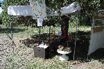 34_2008-0830-1146-41.jpg